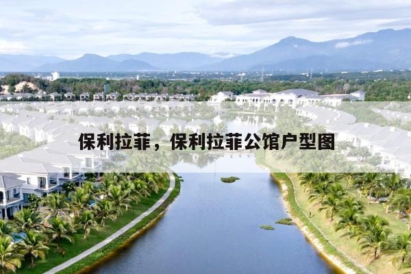 保利拉菲，保利拉菲公馆户型图