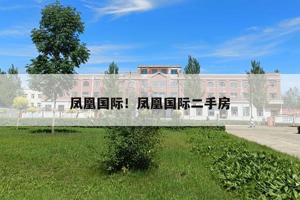 凤凰国际！凤凰国际二手房