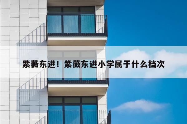紫薇东进！紫薇东进小学属于什么档次