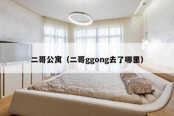 二哥公寓（二哥ggong去了哪里）