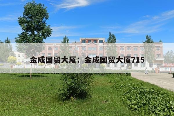 金成国贸大厦：金成国贸大厦715